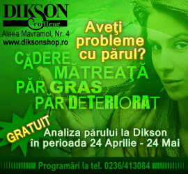 diksonshop