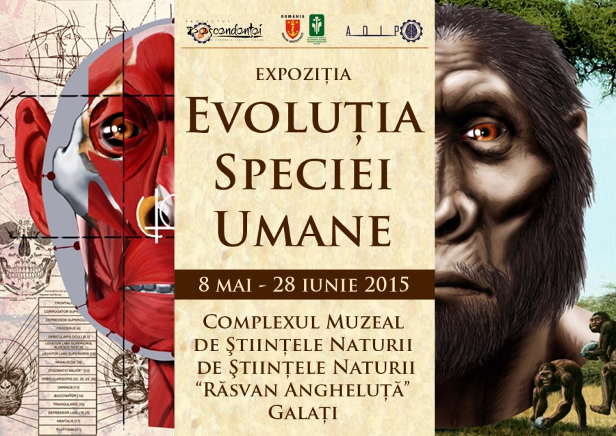 "Evoluţia speciei umane", o nouă expoziţie EDUCATIVĂ la Ştiinţele Naturii
