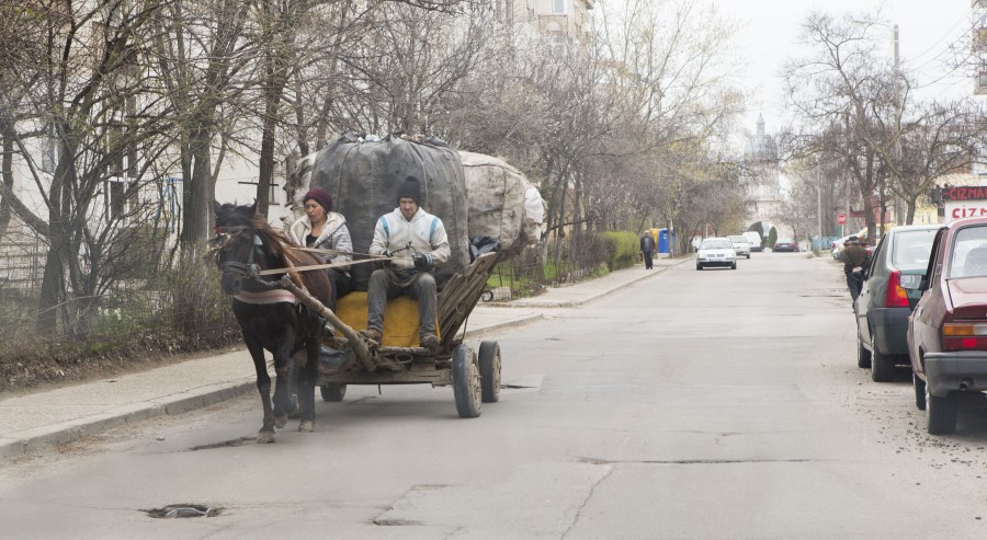 Pentru a scăpa de "recuperatorii" de deşeuri: Ecosal şi Poliţia Locală, la vânat căruţe prin oraş