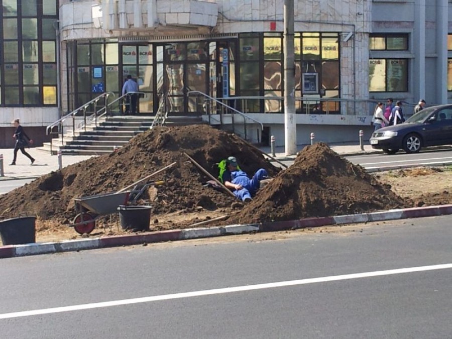 FOTODOCUMENT: Angajat Ecosal surprins în timp ce muncea pe rupte