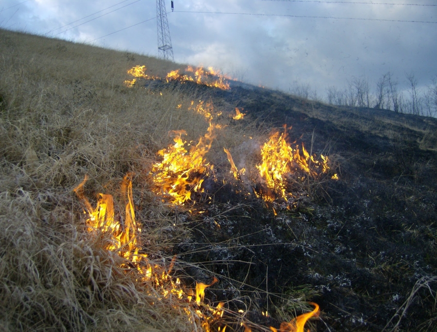 PERICOL de secetă şi incendii de vegetaţie în toată lună iulie