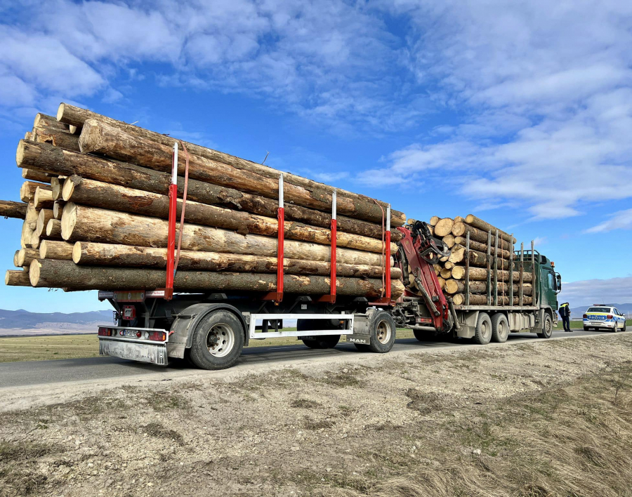 Transporturile de lemn, monitorizate cu ajutorul inteligenței artificiale