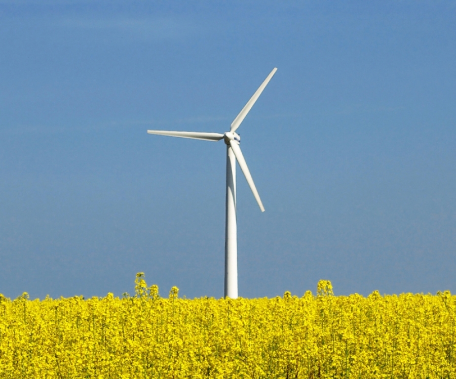 Parcul eolian de la Frumuşiţa: În două săptămâni va fi anunţat furnizorul turbinelor