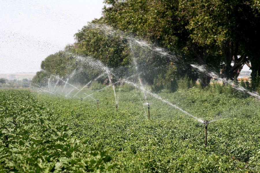 "Decât să ne plângem că-i secetă, mai bine irigăm!" - fermierii gălăţeni plătesc preţuri astronomice pentru apă