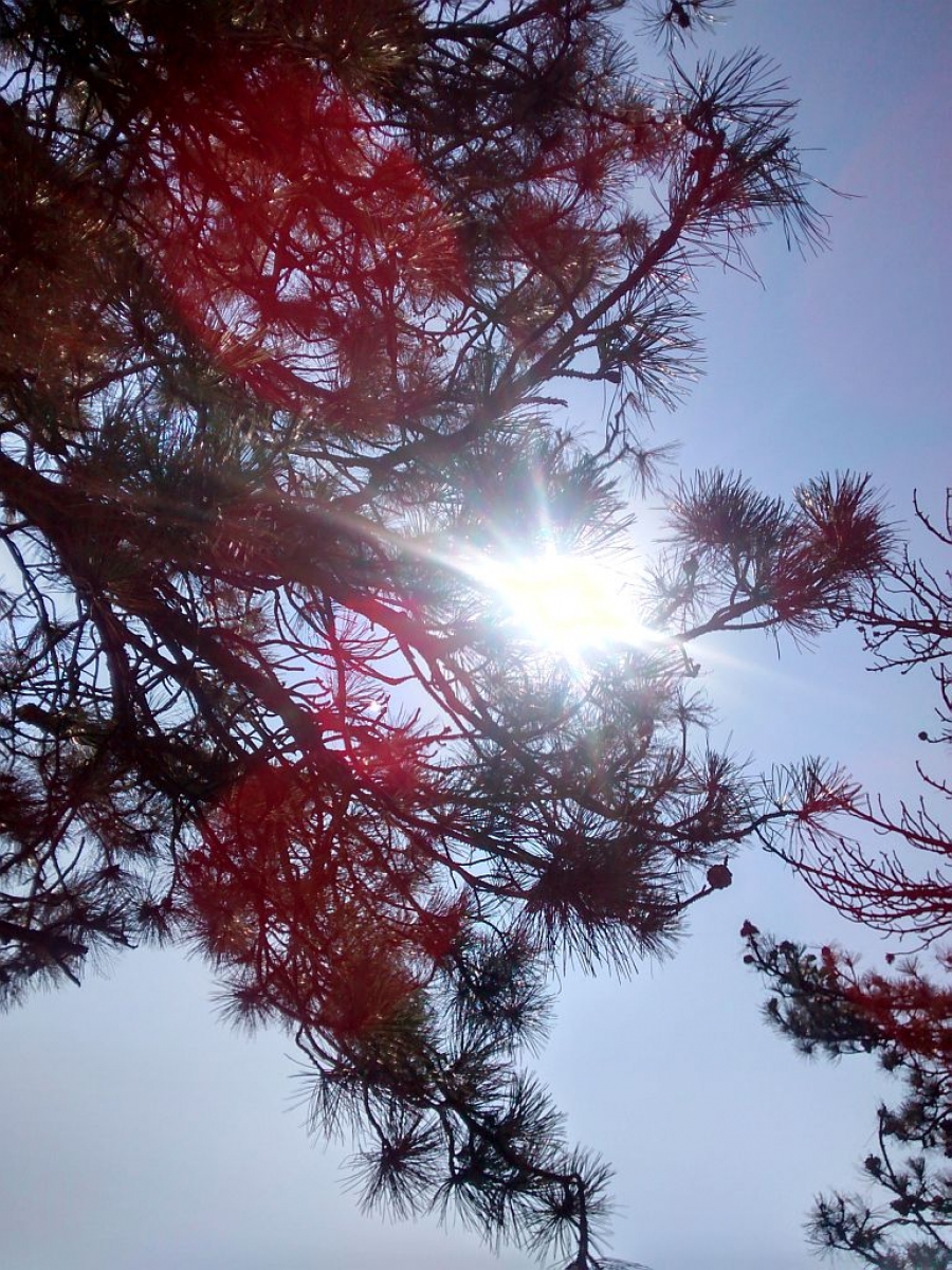 PROGNOZA METEO/ Cum va fi VREMEA, în acest WEEKEND, la GALAŢI