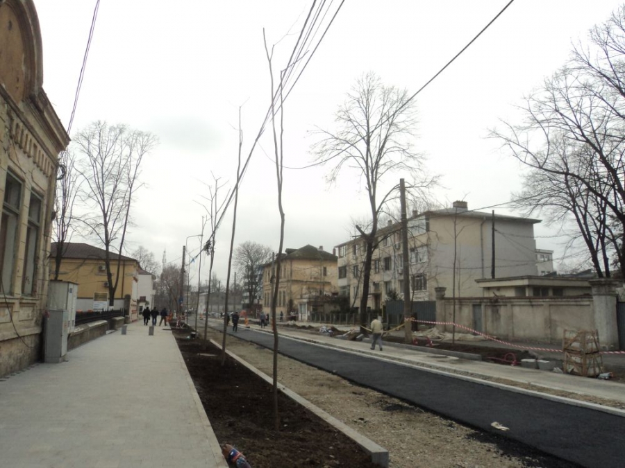 În locul arborilor tăiaţi/ Primii tei plantaţi pe strada Mihai Bravu