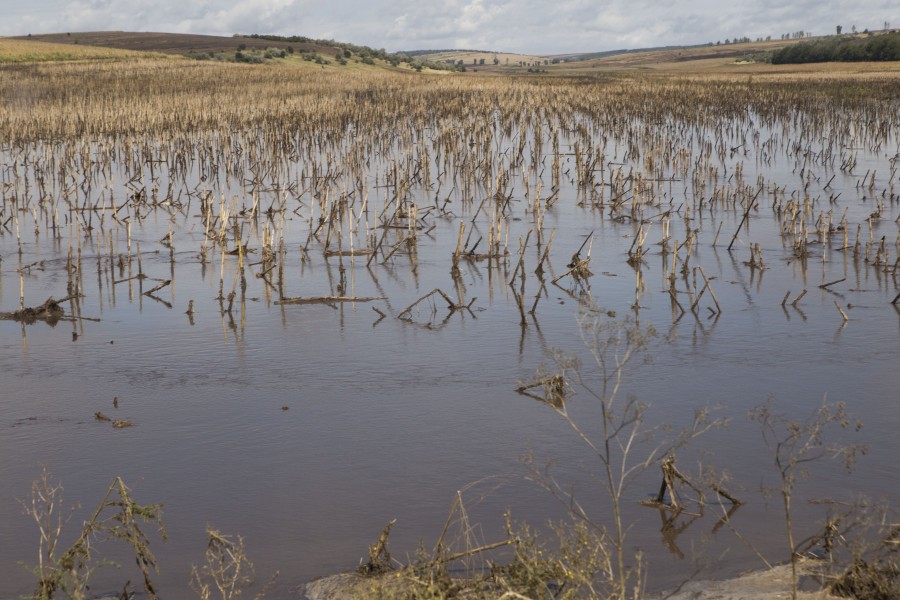 Cine-i despăgubeşte pe fermierii din zona inundată?