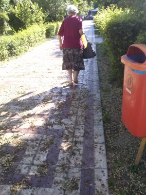 Tichia de mărgăritar a străzii Brăilei... Iar călcăm în dude!