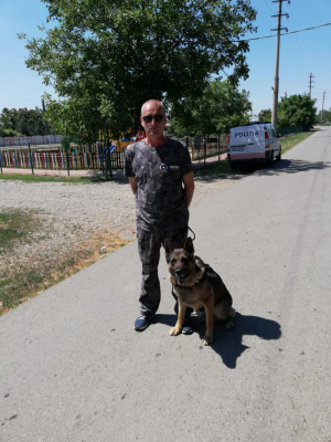 Secretele dresajului, cu instructorul canin Lucian Donosă (II)