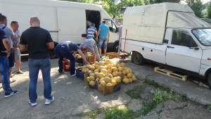 CONTROALE | Trei tone de pepeni, confiscate de poliţişti