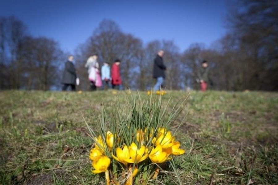 Prognoza meteo pentru 15-28 aprilie: Cum va fi vremea de Florii 