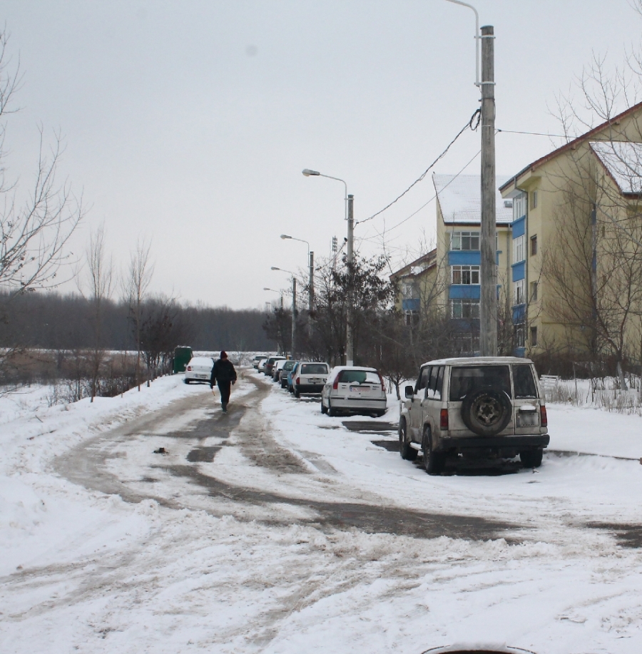 Paradoxurile DESZĂPEZIRII - Stradă de cartier contra alee de parc