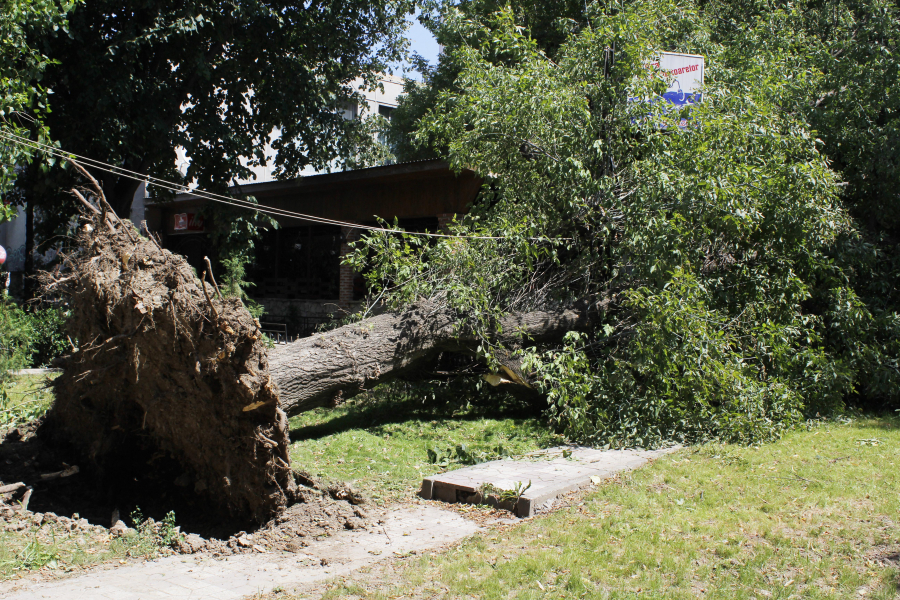 28 de răniţi, 130 de copaci rupţi şi 11 case avariate la Galați