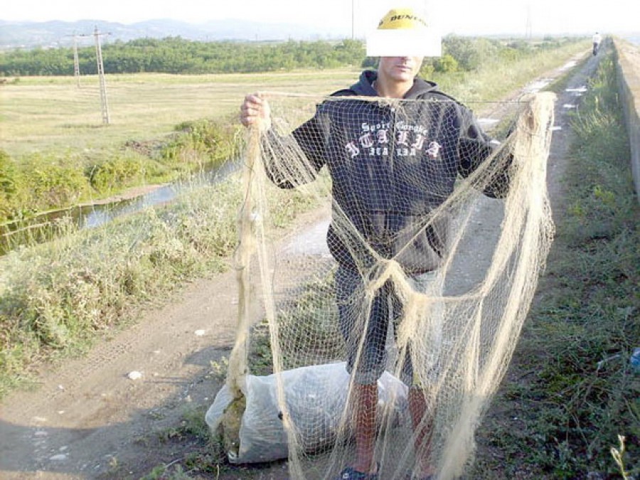 Campanie VL - Pescari pe apa sâmbetei: Braconajul, hoţie cu efecte devastatoare