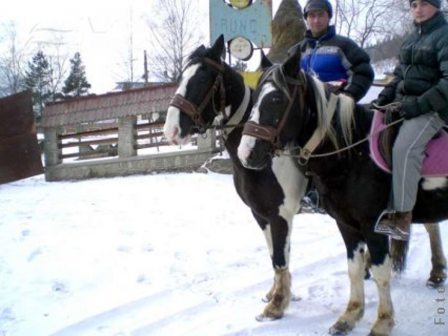 Adrenalină la Vatra Dornei