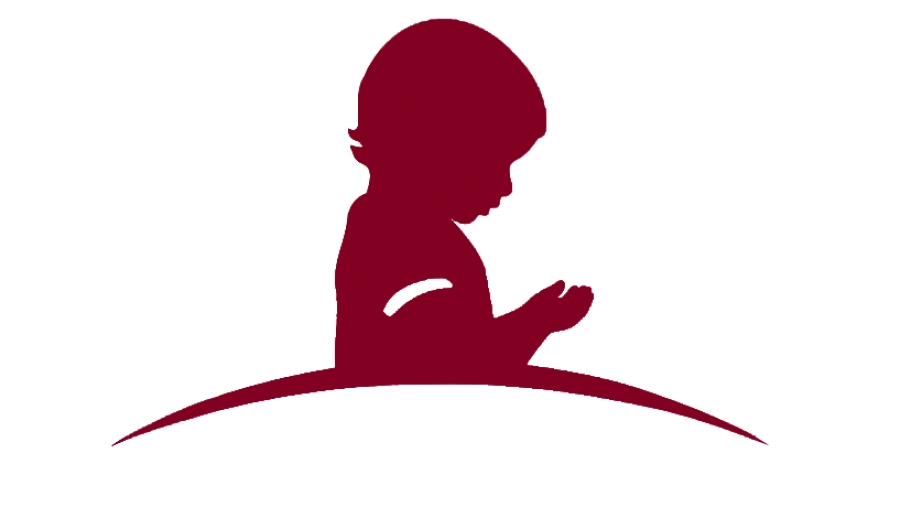 BREVIAR JURIDIC | Procedura de soluţionare a cauzelor privind stabilirea măsurilor de protecţie specială a copilului