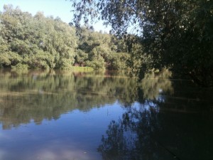 Descoperire MACABRĂ în râul Prut