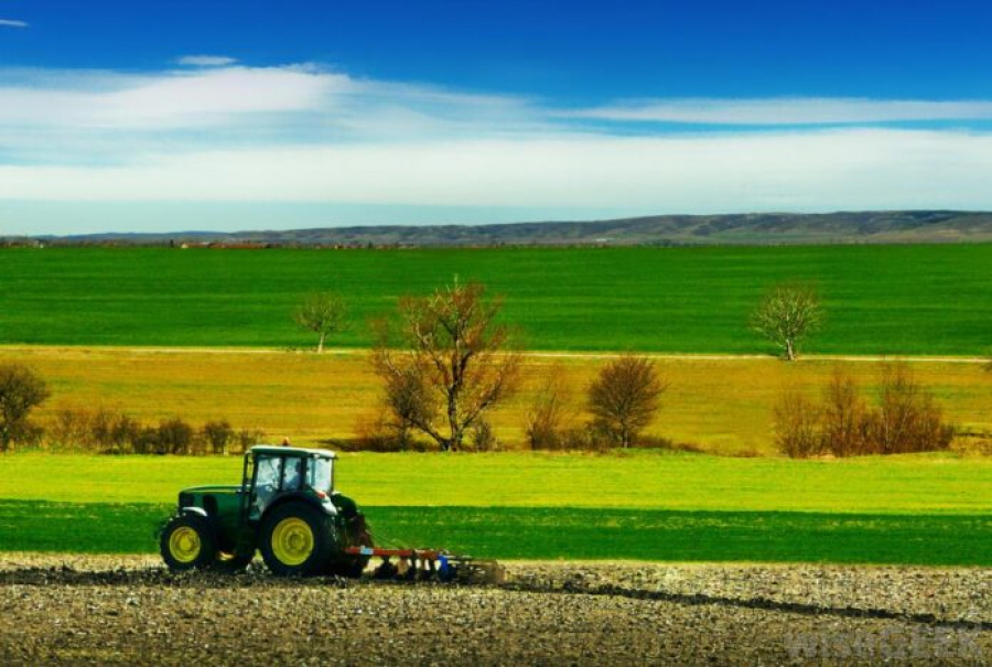 Terenuri cu destinație agricolă pentru tineri