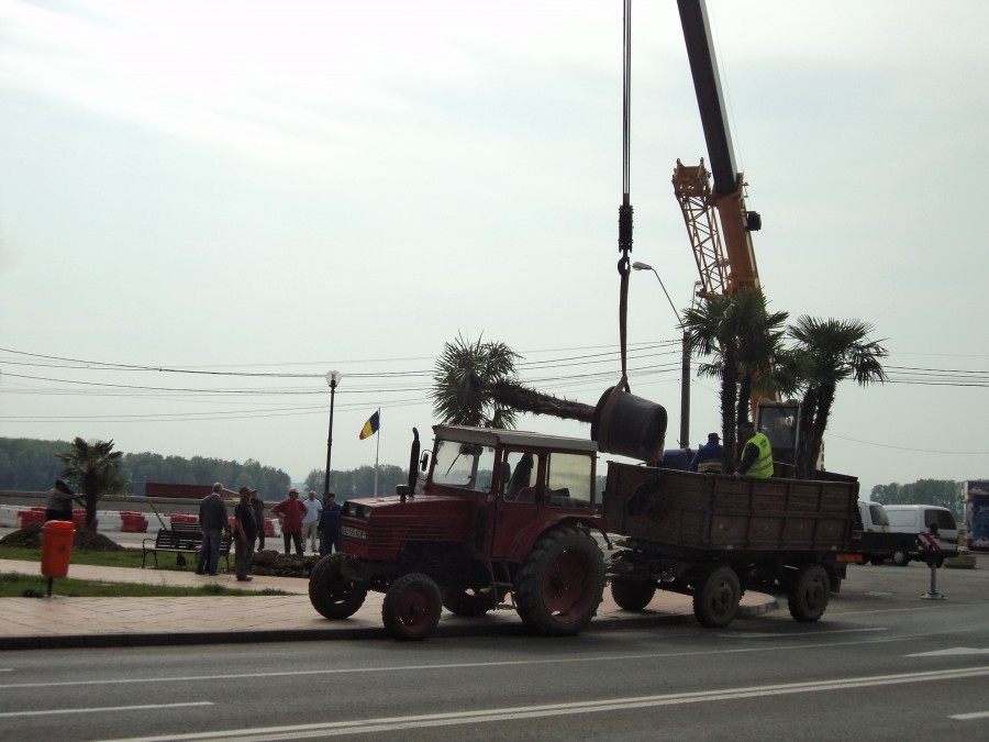 TARIFELE la iarbă verde/ Gospodărire Urbană îşi ÎNCHIRIAZĂ utilajele