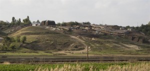 Focar de infecţie la marginea unei localități din județul Galați. Resturi de cadavre de animale aruncate pe câmp