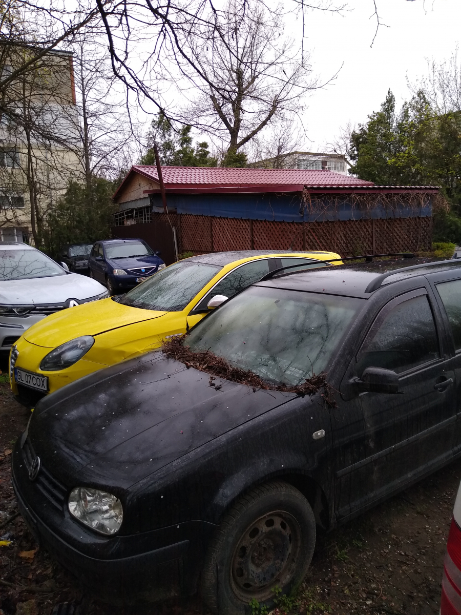 Epave auto și mașini dubioase ocupă locurile de parcare