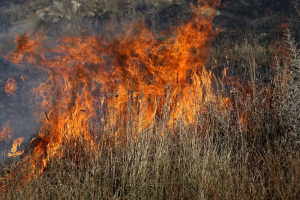 Peste 19 hectare de păşune au ars în comuna Slobozia-Conachi