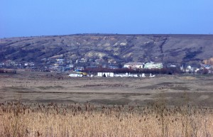 Măstăcaniul îşi face &quot;autostradă&quot; prin câmp