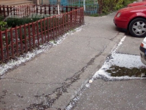 Ninge iar!