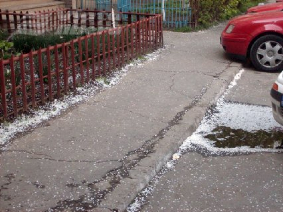 Ninge iar!