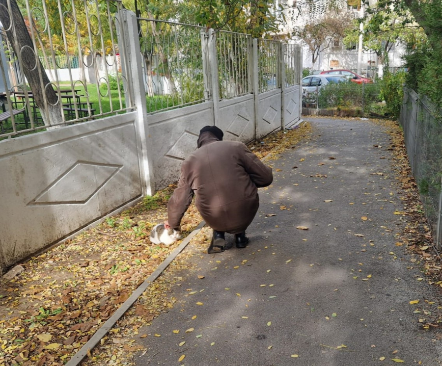 Poza zilei. Cine cui îi alina durerile?
