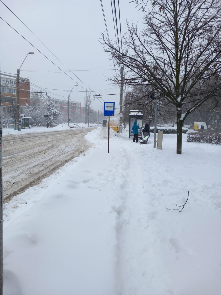 Stațiile de autobuz, necurățate la timp (FOTO)