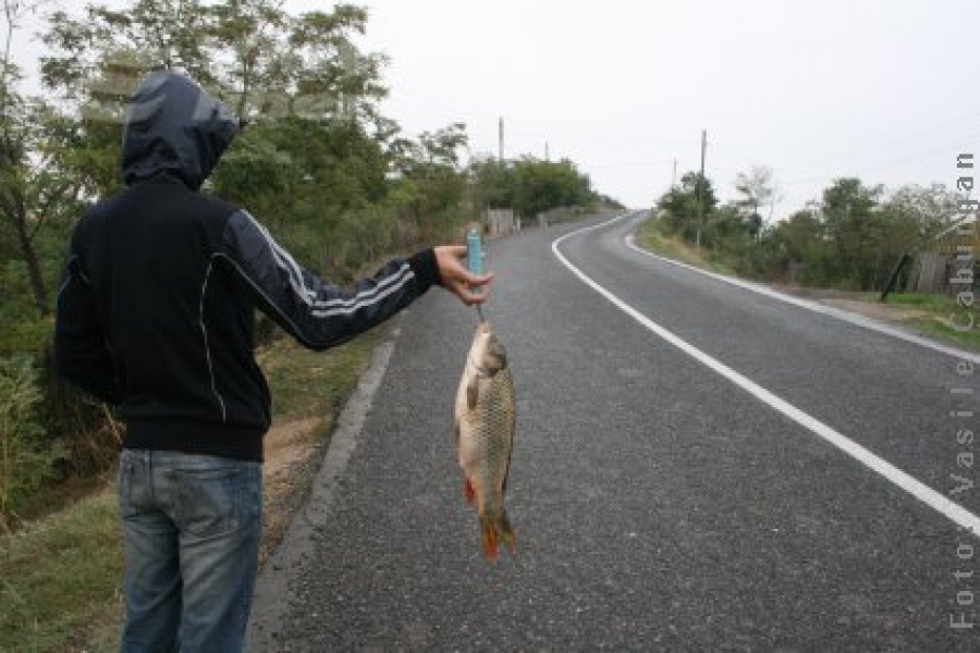 Viaţa pe malul Prutului 