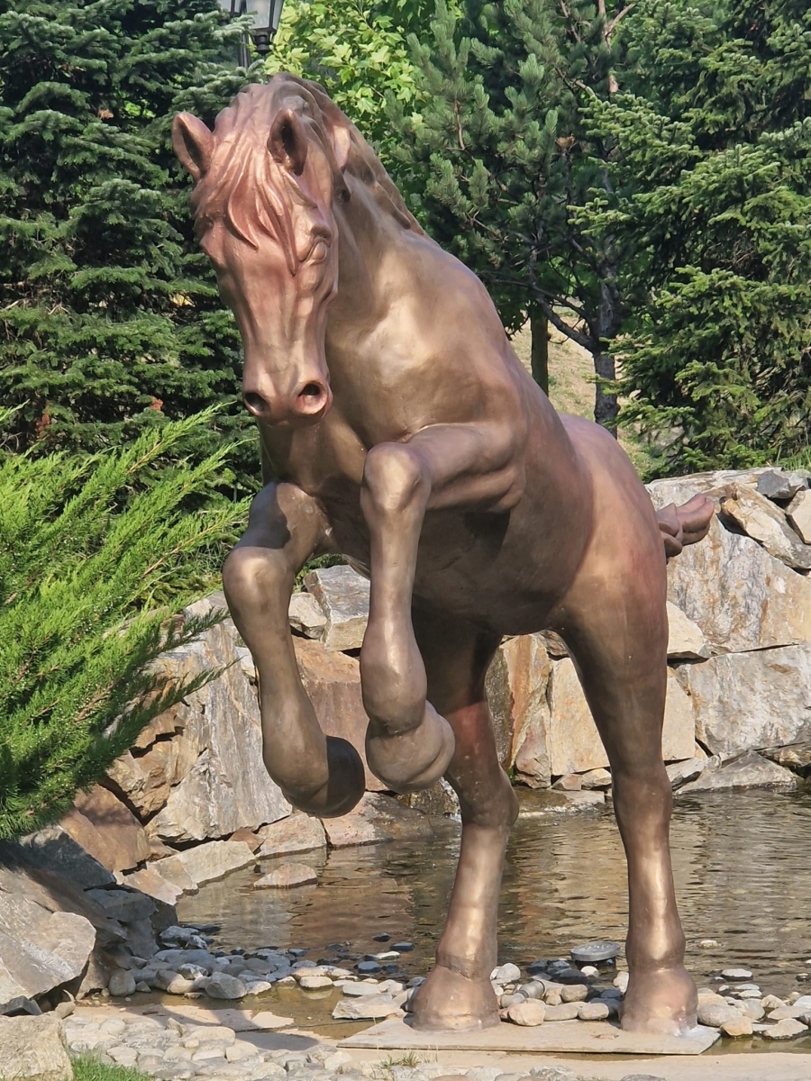 Cum vinzi un cal bătrân