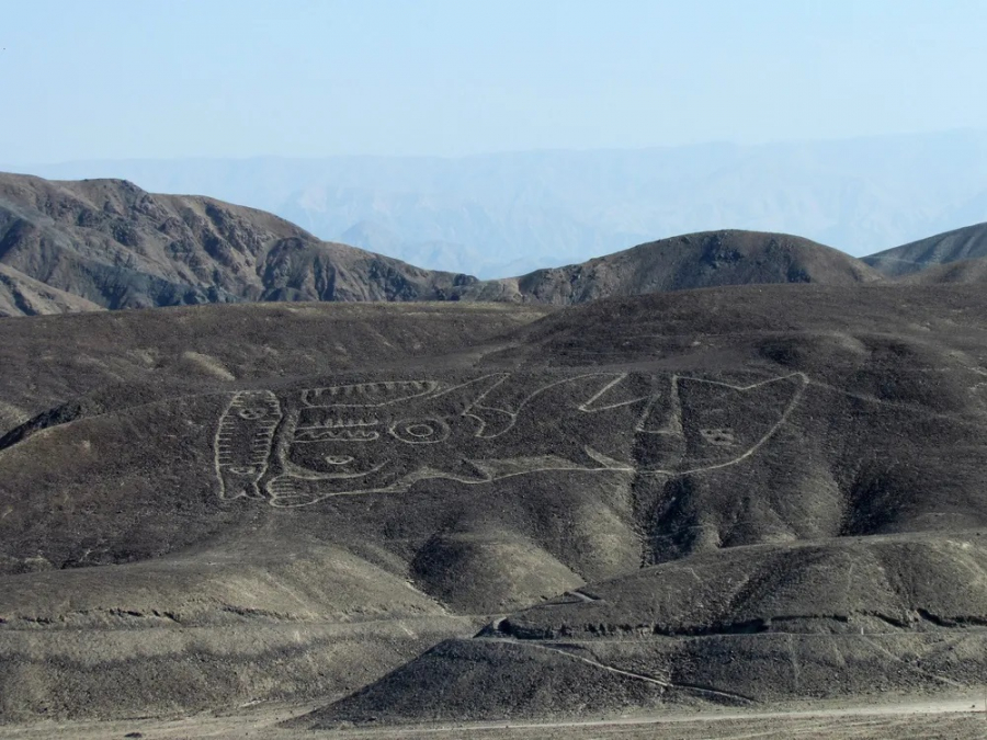 Noi geoglife descoperite în Peru