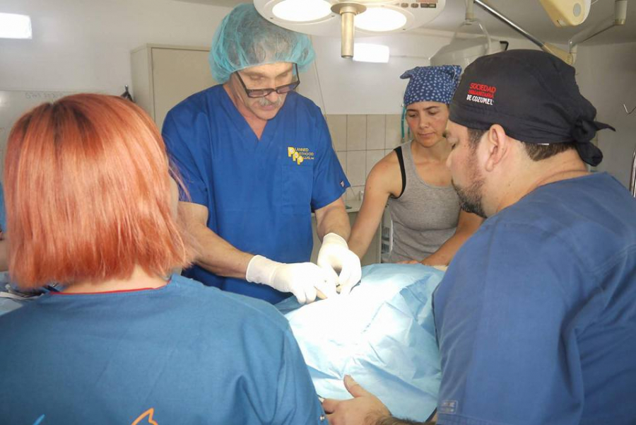 Maraton de sterilizări GRATUITE, la Help Lăbuş