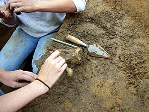 Aşezare din Epoca Bronzului, descoperită pe Şoseaua de Centură a Tecuciului 