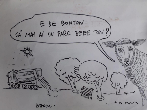 Baciu la (n)oi