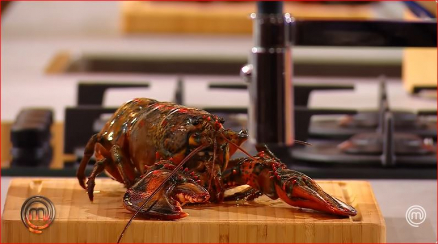 Măcelul homarilor