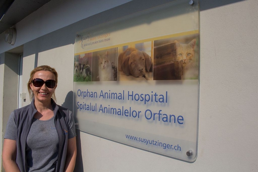 SPITAL pentru animalele orfane din Galaţi, cu ajutor din Elveţia