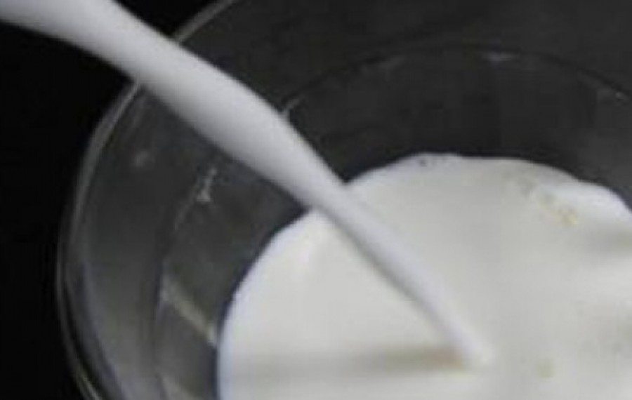 Circa 15 tone de LAPTE şi produse lactate, OPRITE de la comercializare