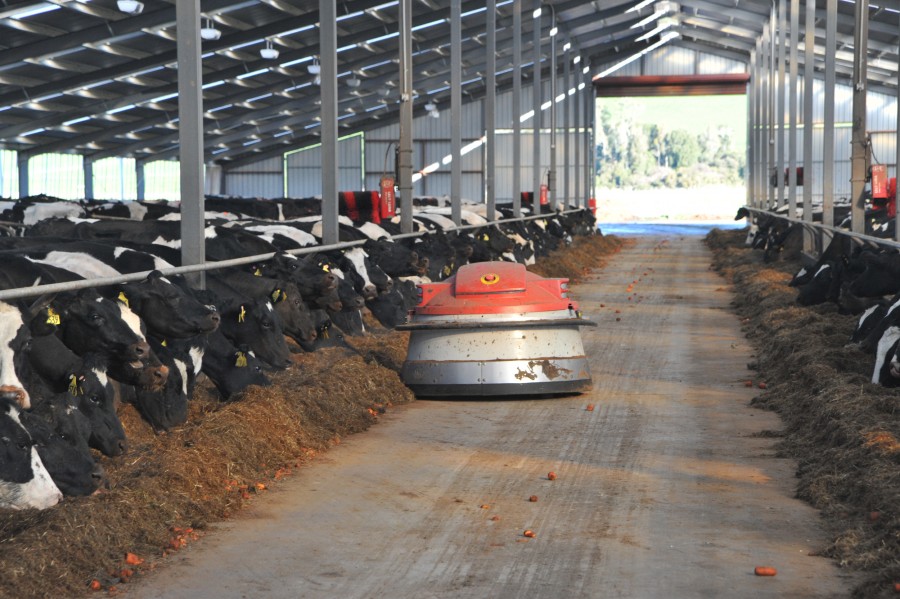 Producătorii gălăţeni, puternic afectaţi/ Eliminarea cotei de lapte va dezechilibra piaţa