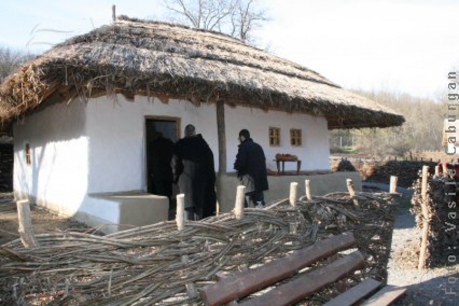 Drepturi de autor pentru Muzeul Satului