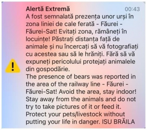 Urși semnalați la câmpie, lângă Făurei