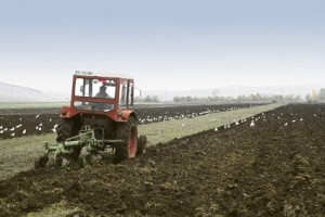 Aproape 700.000 de fermieri vor primi vineri şi luni avansul de 42 de euro din plata pe suprafaţă