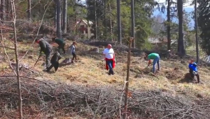 Angajații Zipper au participat la reîmpădurirea unor zone de la Cheia și Dezmir | VIDEO