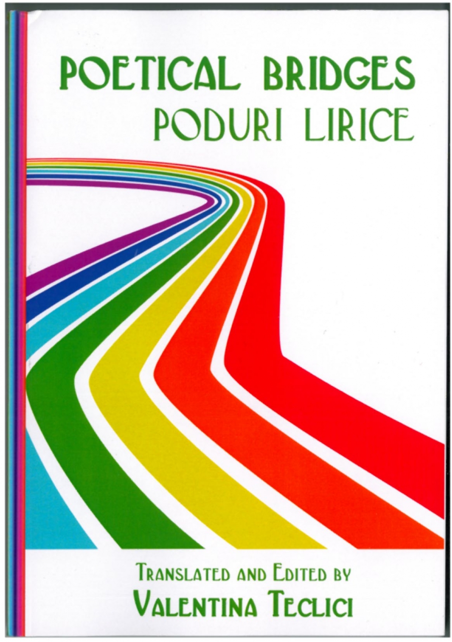 CRONICĂ DE CARTE | Un pod până-n Noua Zeelandă!