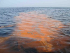 Poluare cu produse petroliere pe Dunăre