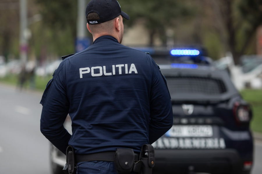 Ordine de protecție contra gălățenilor agresivi, în orice situație