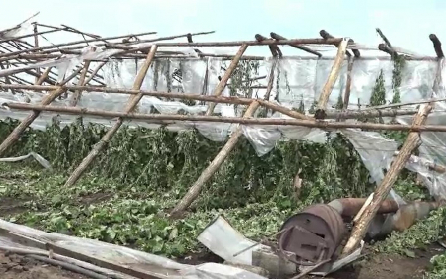 Fermierii gălățeni, zdruncinați de pagubele produse de vijelia din august