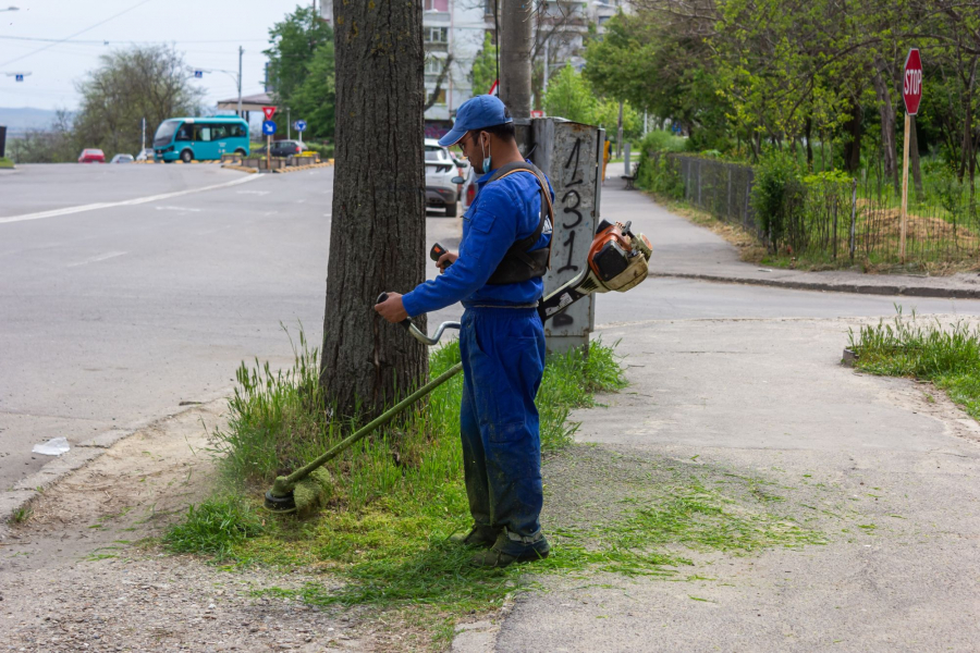 După nepalezi, vin bengalezi la spaţii verzi